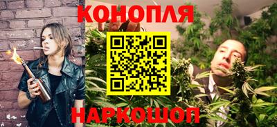 mdpv Краснознаменск