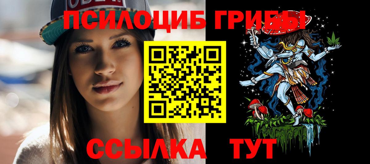 Железноводск  Псилоцибиновые грибы Magic Shrooms  Псилоцибиновые грибы мицелий  купить закладку  Вход с VPN 